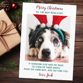 Tarjeta Festiva Famoso Mascota Personalizado Foto Perro Mamá Feliz