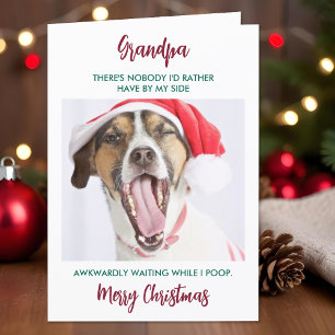 Tarjeta Festiva Famoso perro abuelo Mascota Navidades de fotografí