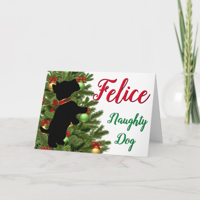 Tarjeta Festiva Felice Naughty Dog (Anverso)
