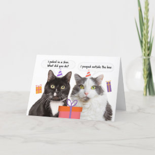 Tarjeta Festiva Felices cumpleaños gatos graciosos hablando humor
