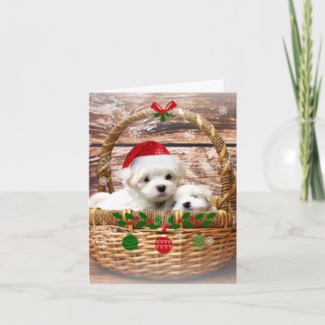 Tarjeta Festiva Felices fiestas, adorables cachorros malteses (Anverso)