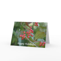 Felices Fiestas : Berries Rojos