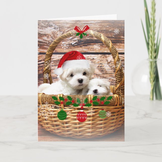 Tarjeta Festiva Felices fiestas: Cachorros malteses (Anverso)