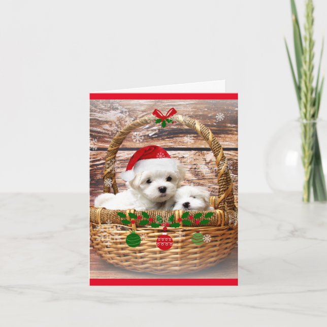 Tarjeta Festiva Felices Fiestas: Cachorros malteses (Anverso)