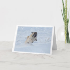 Tarjeta Festiva Felices fiestas jugando Pug en los Navidades de la