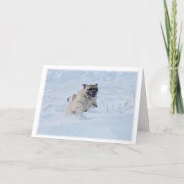 Tarjeta Festiva Felices fiestas jugando Pug en los Navidades de la