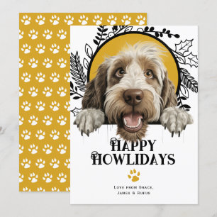 Tarjeta Festiva Felices fiestas Spinone Italiano Perro Navidades