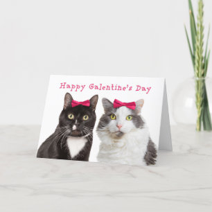 Tarjeta Festiva Felices gatos Chicas del Día de Galentine