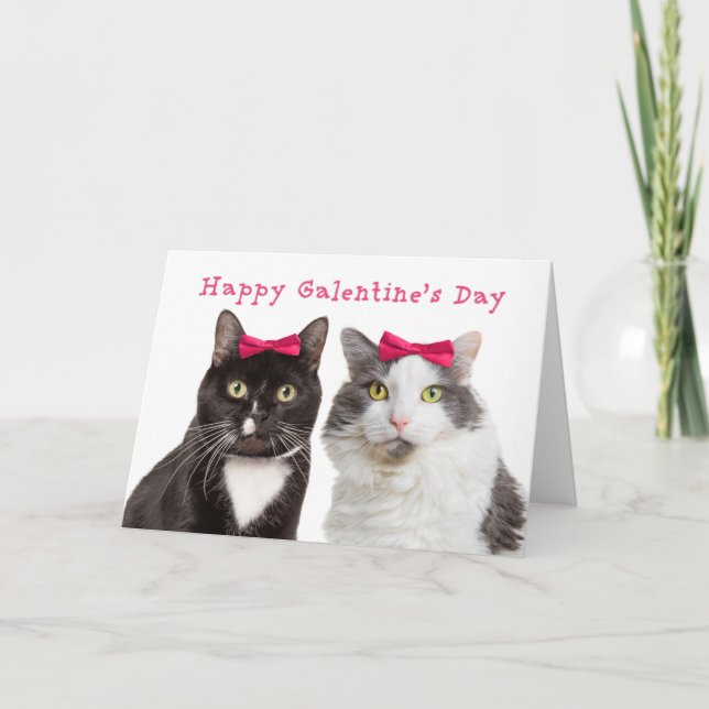 Tarjeta Festiva Felices gatos Chicas del Día de Galentine (Anverso)