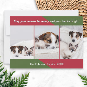 Tarjeta Festiva Felices Meow Fotos Divertidas de Perros y Gatos en