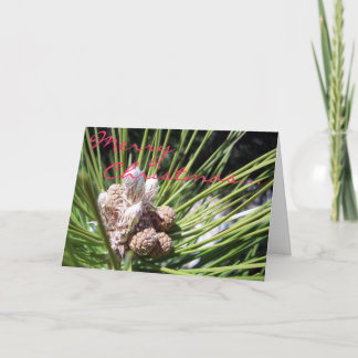 Tarjeta Festiva Felices Navidad…