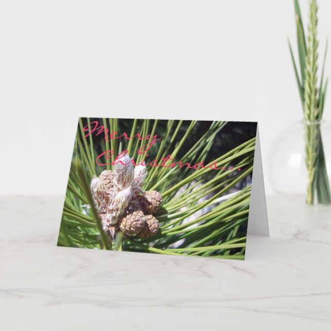 Tarjeta Festiva Felices Navidad… (Anverso)