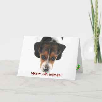 Tarjeta Festiva ¡Felices Navidad!
