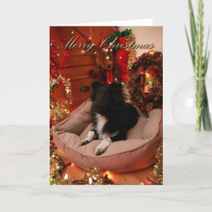 Tarjeta Festiva Felices Navidad, collie, sheltie