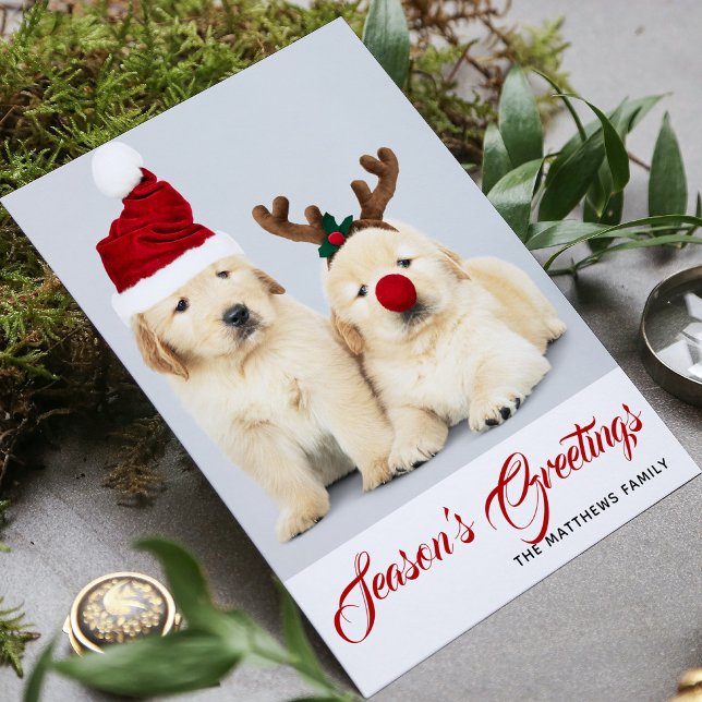 Tarjeta Festiva Felices Navidades de fotos de la temporada de Howl (Subido por el creador)