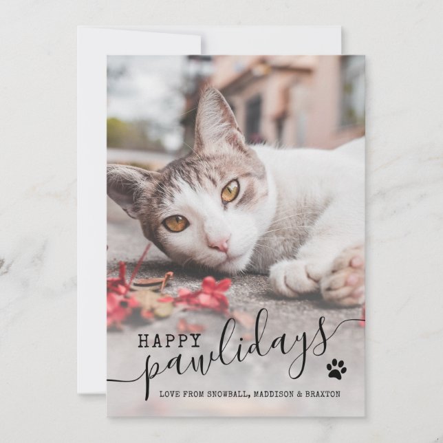 Tarjeta Festiva Felices Pawlidays Cat Photo Moderno Mascota Navida (Anverso)