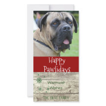 Felices Pawlidays | Navidades mascotas saludan la