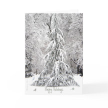 Felices Vacaciones: Disfruta de los sencillos plac