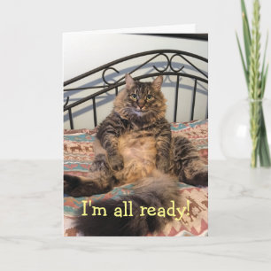 Tarjeta Festiva Felicitación de Acción de Gracias por un gato hamb