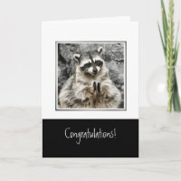 Felicitaciones con el gracioso aplauso de Raccoon 