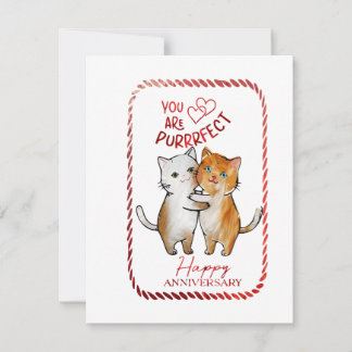 Tarjeta Festiva Felicitaciones de aniversario eres Purrfecto