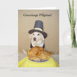 Tarjeta Festiva ¡Felicitaciones Peregrino!