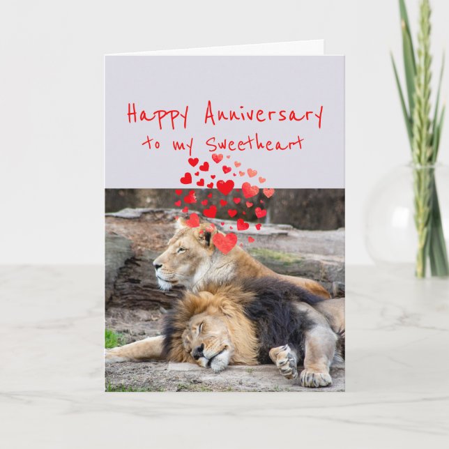 Tarjeta Festiva Feliz Aniversario, dulce león romántico (Anverso)
