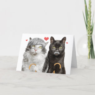 Tarjeta Festiva Feliz Aniversario Funny Old Cat Pareja