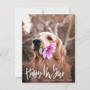 Tarjeta Festiva Feliz Año Nuevo   Script Modern Dog Photo