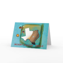 ¡Feliz Austin Texas! 