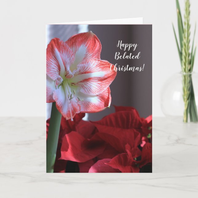 Tarjeta Festiva Feliz Belleza de los Navidades Amaryllis (Anverso)