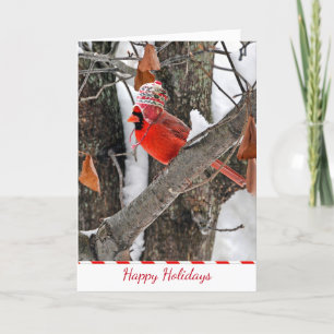 Tarjeta Festiva Feliz cardenal de vacaciones con gorra de soplo
