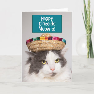 Tarjeta Festiva Feliz Cinco de Mayo gato gracioso en sombrero