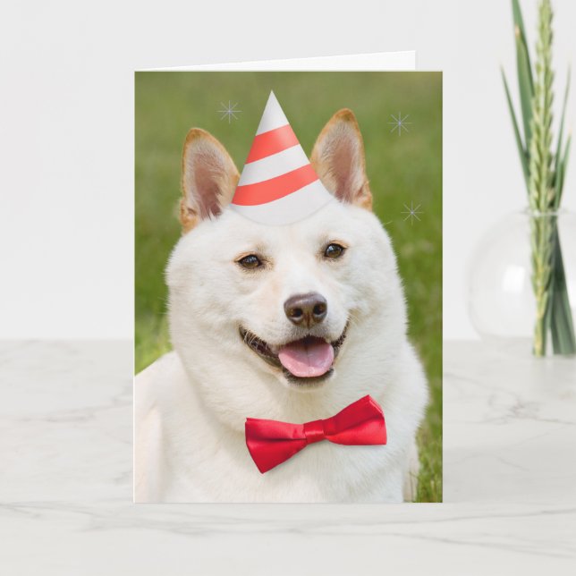 Tarjeta Festiva Feliz Cumpleaños A Cualquiera Que Sea Perro Shiba  (Anverso)