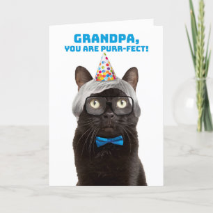 Tarjeta Festiva Feliz cumpleaños, abuelo, anciano, humor de gato