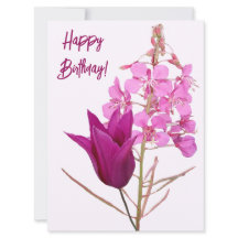 Feliz cumpleaños bonito tulipán rosa colorido