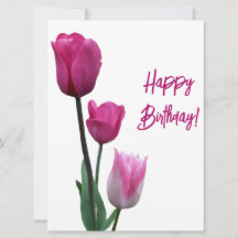 Feliz cumpleaños bonito tulipán rosa hermosa flor