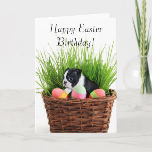Tarjeta Festiva Feliz cumpleaños Boston Terrier Dog Card