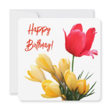 Feliz cumpleaños colorido tulipán amarillo crocus