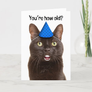 Tarjeta Festiva Feliz cumpleaños conmocionado gato con humor para