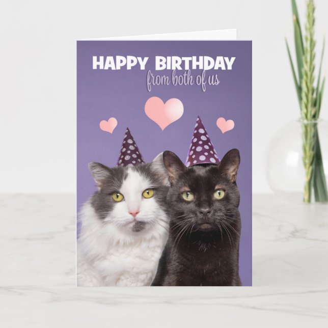 Tarjeta Festiva Feliz cumpleaños de los dos gatos de ee.uu. (Anverso)