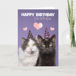 Tarjeta Festiva Feliz cumpleaños de los dos gatos más golosos