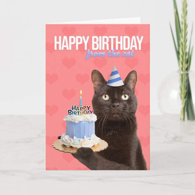 Tarjeta Festiva Feliz Cumpleaños Desde El Gato Gato Gato Con Humor (Anverso)