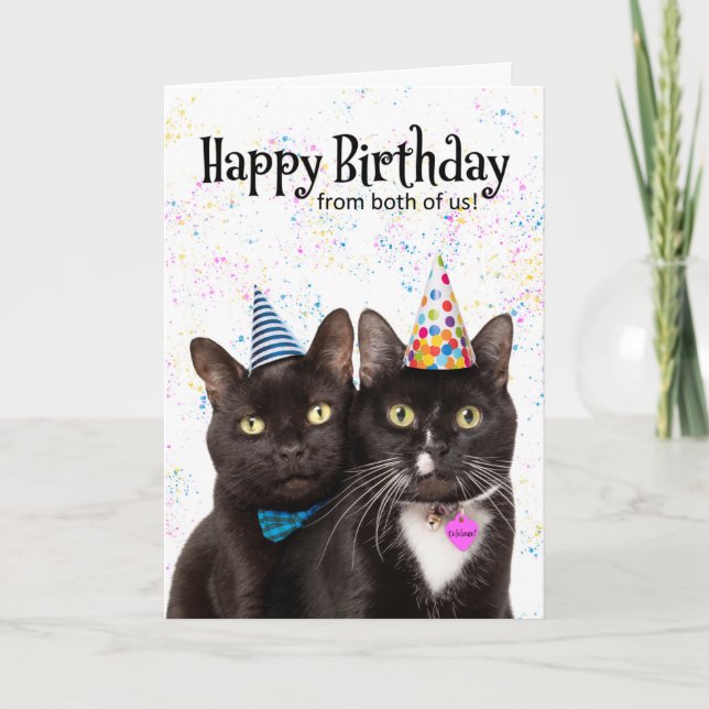 Tarjeta Festiva Feliz cumpleaños desde el humor de ambos gatos abu (Anverso)