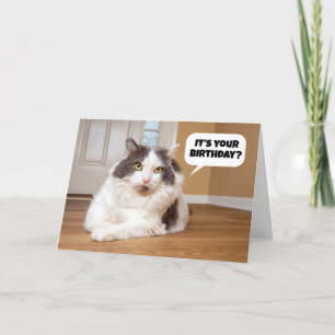 Tarjeta Festiva Feliz Cumpleaños Desde El Humor Del Gato