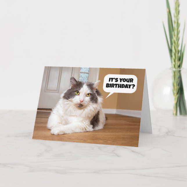 Tarjeta Festiva Feliz Cumpleaños Desde El Humor Del Gato (Anverso)