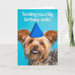 Tarjeta Festiva Feliz cumpleaños Divertido Yorkie Dog con los dien