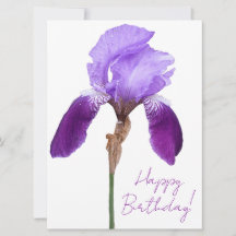 Feliz cumpleaños elegante iris morado floral boho