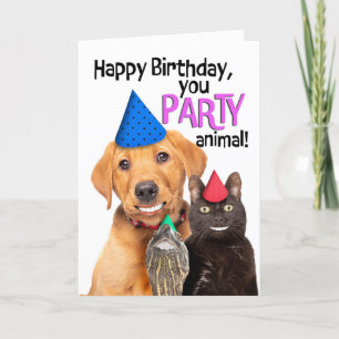 Tarjeta Festiva Feliz cumpleaños Fiesta animal Mascotas divertidos
