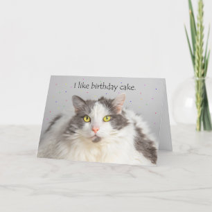 Tarjeta Festiva Feliz cumpleaños Gato gordo como pastel de cumplea